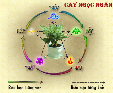 Cây Ngọc Ngân