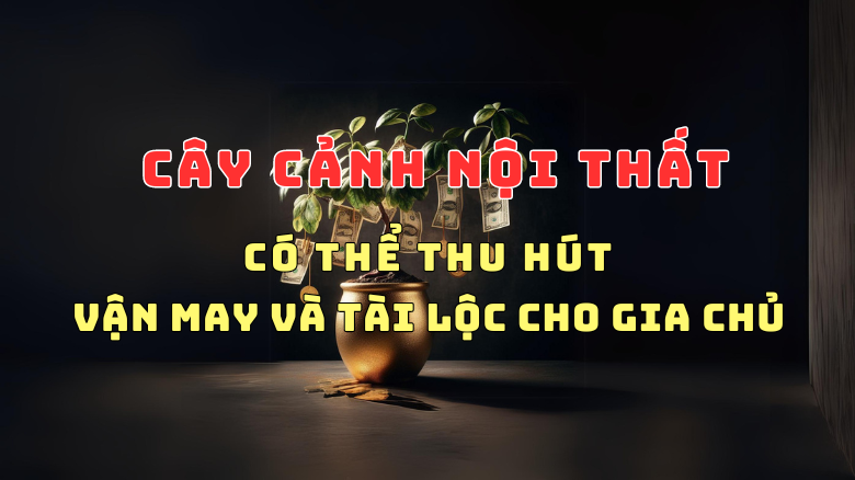 NHỮNG ĐIỀU BẠN CHƯA BIẾT VỀ CÂY CẢNH NỘI THẤT