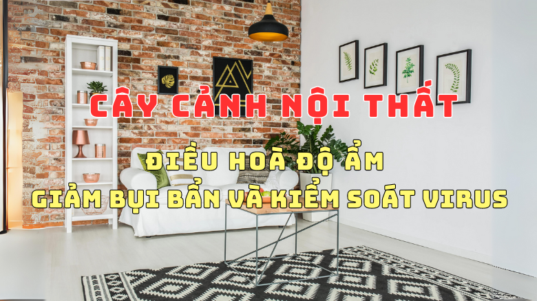 NHỮNG ĐIỀU BẠN CHƯA BIẾT VỀ CÂY CẢNH NỘI THẤT