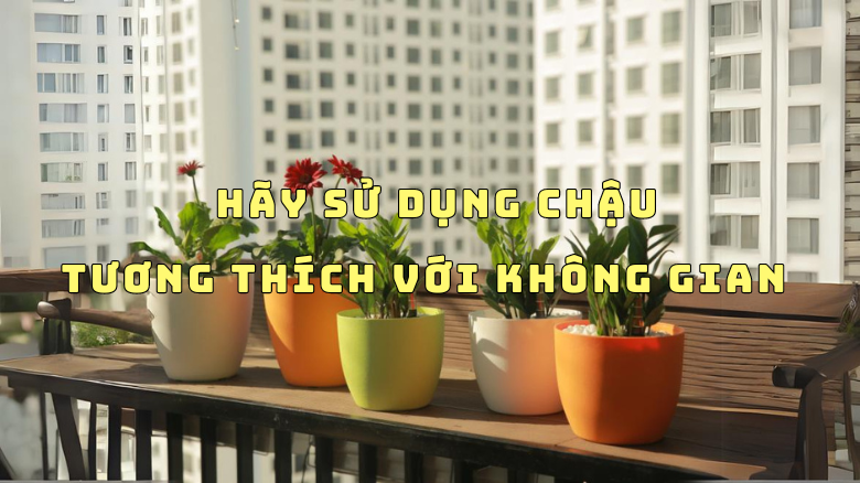 NHỮNG ĐIỀU BẠN CHƯA BIẾT VỀ CÂY CẢNH NỘI THẤT