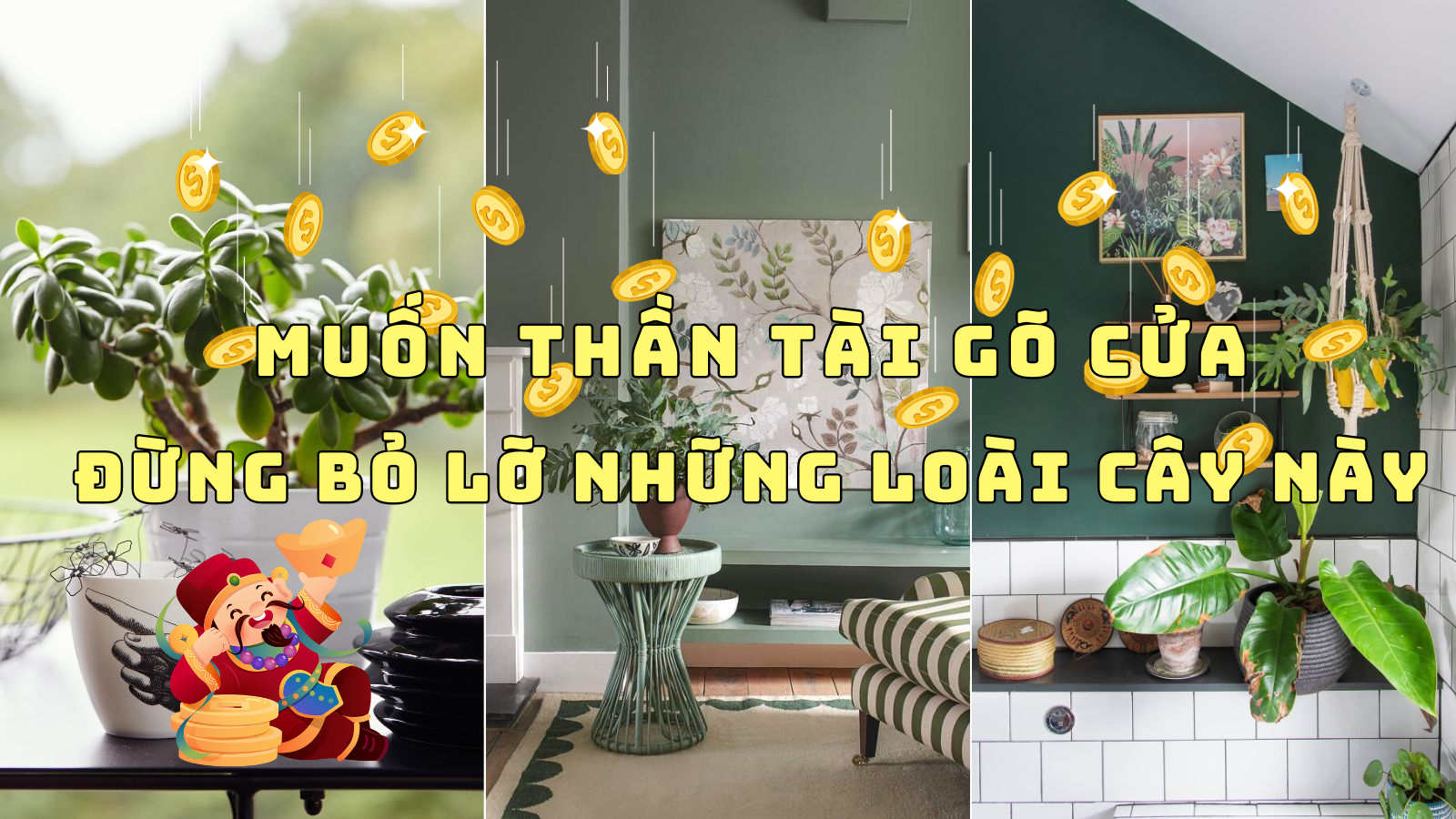 SỞ HỮU NGAY NHỮNG CÂY NỘI THẤT NÀY NẾU MUỐN THẦN MAY MẮN GÕ CỬA