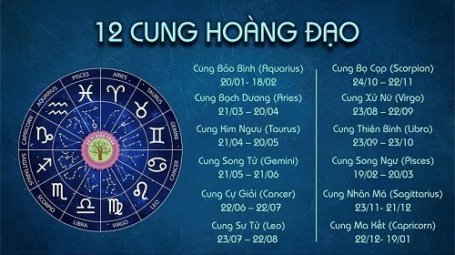 TỔNG HỢP 12 CÂY NỘI THẤT THẤT SINH RA DÀNH CHO 12 CUNG HOÀNG ĐẠO