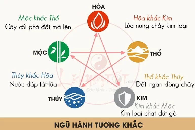 Top 5 Cây Phong Thuỷ Cho Người Mệnh Kim