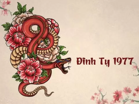 TUỔI ĐINH TỴ 1977 HỢP VỚI CÂY GÌ? 