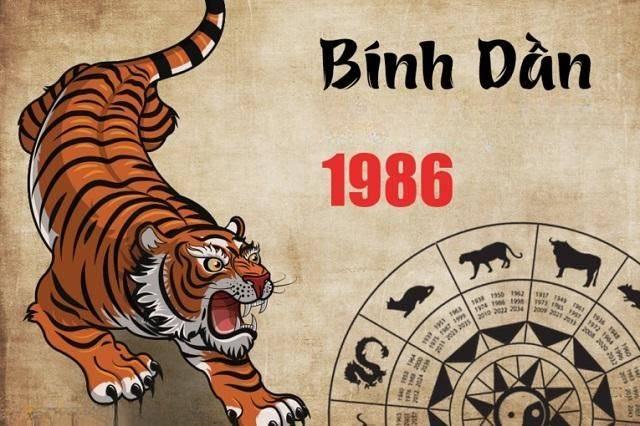 TUỔI BÍNH DẦN 1986 HỢP VỚI CÂY GÌ? 