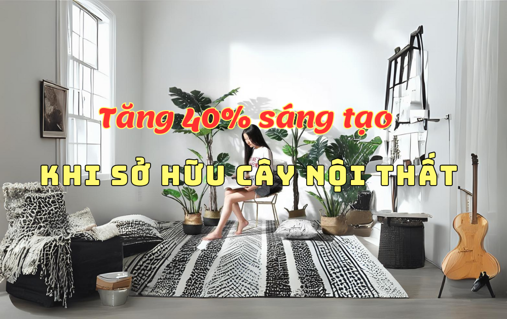 TOP 5 CÂY NỘI THẤT GIÚP GIA CHỦ PHÁT TÀI