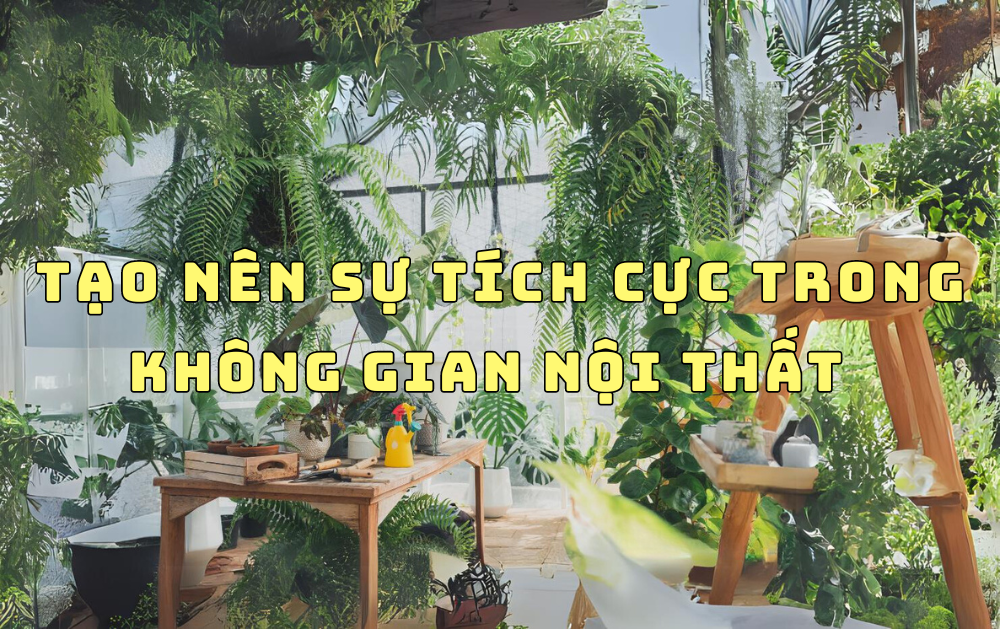 TOP 5 CÂY NỘI THẤT GIÚP GIA CHỦ PHÁT TÀI