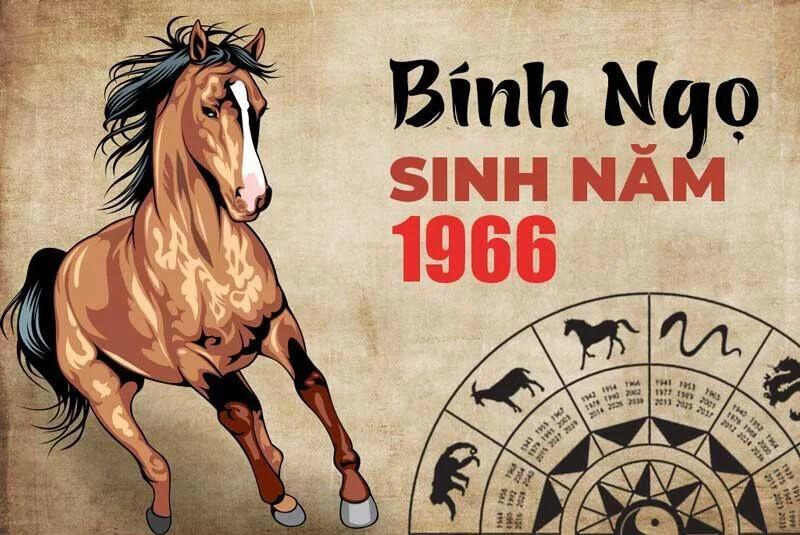 Tuổi Bính Ngọ 1966 Hợp Với Cây Gì? 