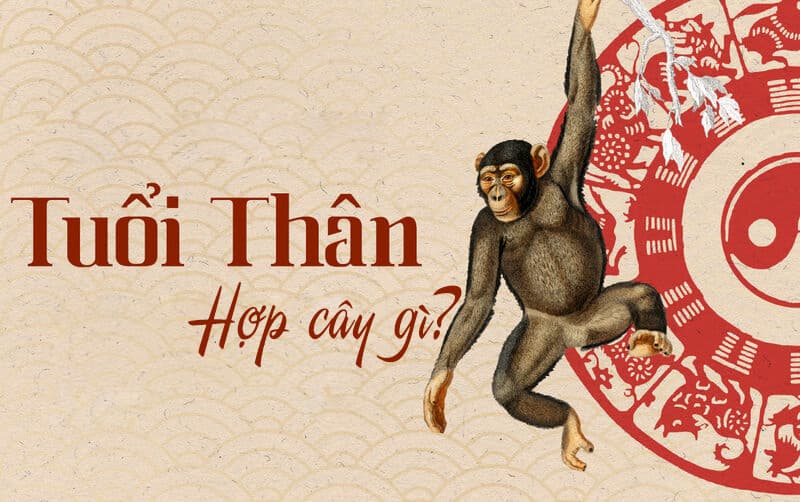 TUỔI CANH THÂN 1980 HỢP VỚI CÂY GÌ?