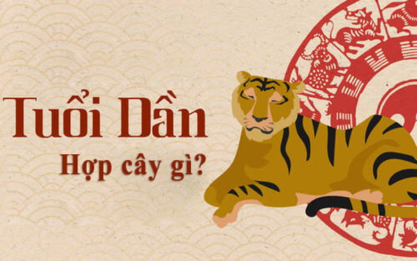 Tuổi Dần Hợp Cây Gì? 