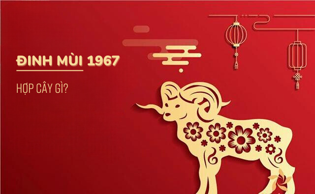 Tuổi Đinh Mùi 1967 Hợp Với Cây Gì?