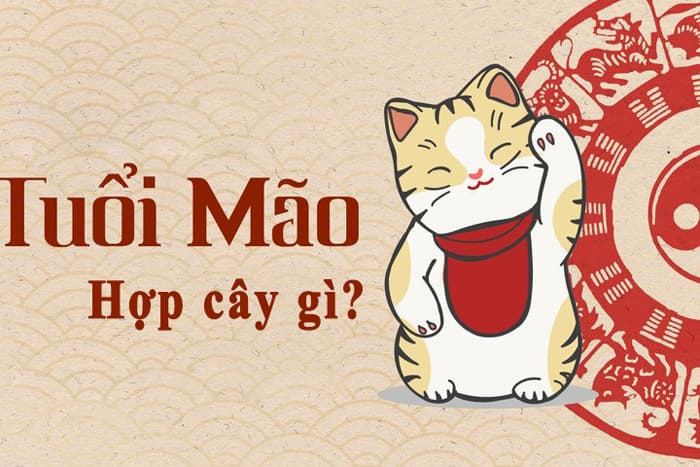 Tuổi Mão Hợp Cây Gì? 