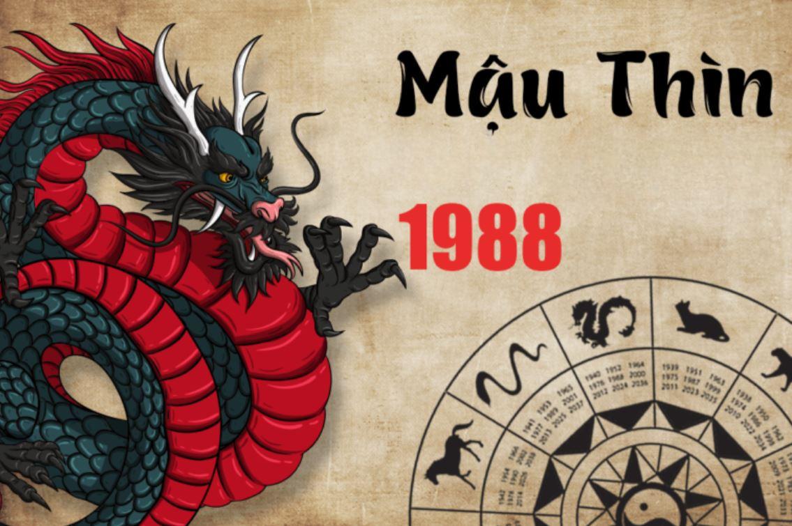 TUỔI MẬU THÌN 1988 HỢP VỚI CÂY GÌ? 