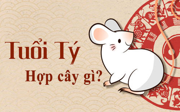 Tuổi Tí Hợp Cây Gì?