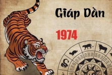 TUỔI GIÁP DẦN 1974 HỢP VỚI CÂY GÌ? CÂY PHONG THỦY ĐÓN TÀI LỘC CHO NGƯỜI TUỔI GIÁP DẦN