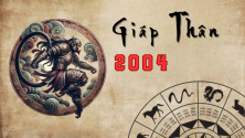 TUỔI GIÁP THÂN 2004 HỢP VỚI CÂY GÌ? CÂY PHONG THỦY ĐÓN TÀI LỘC CHO NGƯỜI TUỔI GIÁP THÂN