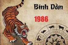 TUỔI BÍNH DẦN 1986 HỢP VỚI CÂY GÌ? CÂY PHONG THỦY ĐÓN TÀI LỘC CHO NGƯỜI TUỔI BÍNH DẦN