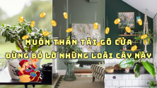 SỞ HỮU NGAY NHỮNG CÂY NỘI THẤT NÀY NẾU MUỐN THẦN MAY MẮN GÕ CỬA