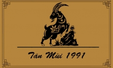 TUỔI TÂN MÙI 1991 HỢP VỚI CÂY GÌ? CÂY PHONG THỦY ĐÓN TÀI LỘC CHO NGƯỜI TUỔI CANH NGỌ 1991