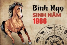 TUỔI BÍNH NGỌ 1966 HỢP VỚI CÂY GÌ? CÂY PHONG THỦY ĐÓN TÀI LỘC CHO NGƯỜI TUỔI BÍNH NGỌ