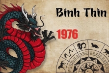 TUỔI BÍNH THÌN 1976 HỢP VỚI CÂY GÌ? CÂY PHONG THỦY ĐÓN TÀI LỘC CHO NGƯỜI TUỔI BÍNH THÌN