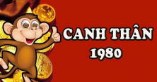 TUỔI CANH THÂN 1980 HỢP VỚI CÂY GÌ? CÂY PHONG THỦY ĐÓN TÀI LỘC CHO NGƯỜI TUỔI CANH THÂN