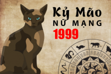 TUỔI KỶ MÃO 1999 HỢP VỚI CÂY GÌ? CÂY PHONG THỦY ĐÓN TÀI LỘC CHO NGƯỜI TUỔI KỶ MÃO