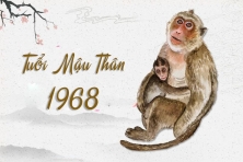 TUỔI MẬU THÂN 1968 HỢP VỚI CÂY GÌ? CÂY PHONG THỦY ĐÓN TÀI LỘC CHO NGƯỜI TUỔI MẬU THÂN