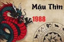 TUỔI MẬU THÌN 1988 HỢP VỚI CÂY GÌ? CÂY PHONG THỦY ĐÓN TÀI LỘC CHO NGƯỜI TUỔI MẬU THÌN