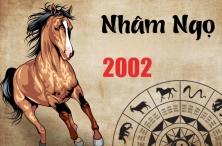 TUỔI NHÂM NGỌ 2002 HỢP VỚI CÂY GÌ? CÂY PHONG THỦY ĐÓN TÀI LỘC CHO NGƯỜI TUỔI NHÂM NGỌ